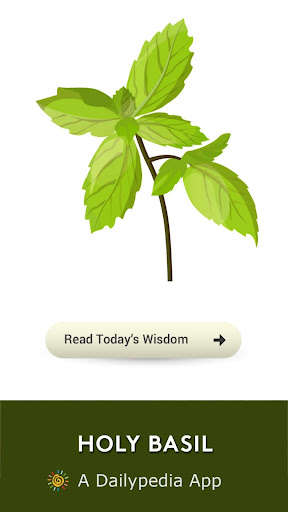 Run android online APK Holy Basil Daily from MyAndroid or emulate Holy Basil Daily using MyAndroid