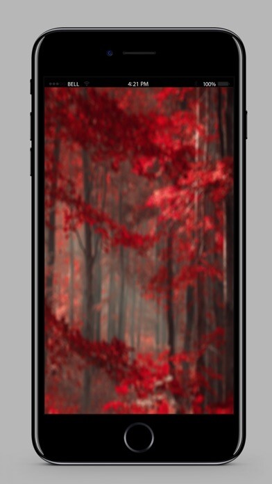 Emulate iPhone app Home And Lock Screen Cute Wallpapers For Valentine using MyAndroid Emulate iPhone app Home And Lock Screen Cute Wallpapers For Valentine using MyAndroid