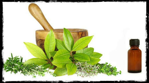 Run android online APK Home Remedies and Medicinal Plants from MyAndroid or emulate Home Remedies and Medicinal Plants using MyAndroid