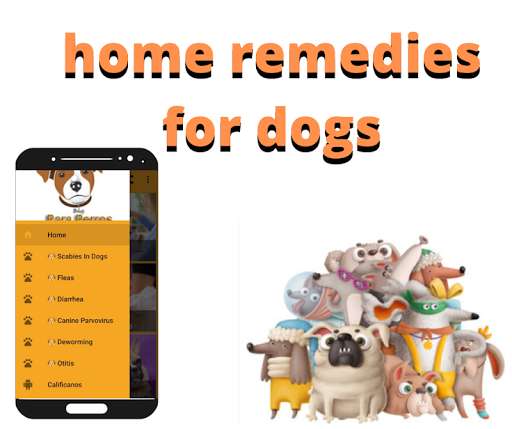 Run android online APK Home Remedies For Dogs from MyAndroid or emulate Home Remedies For Dogs using MyAndroid Run android online APK Home Remedies For Dogs from MyAndroid or emulate Home Remedies For Dogs using MyAndroid