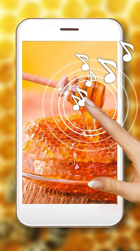 Run android online APK Honey and Bee Live Wallpaper from MyAndroid or emulate Honey and Bee Live Wallpaper using MyAndroid