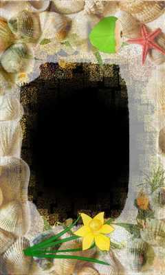 Emulate Android APK Honeywell Photo flower Frames Emulate Android APK Honeywell Photo flower Frames