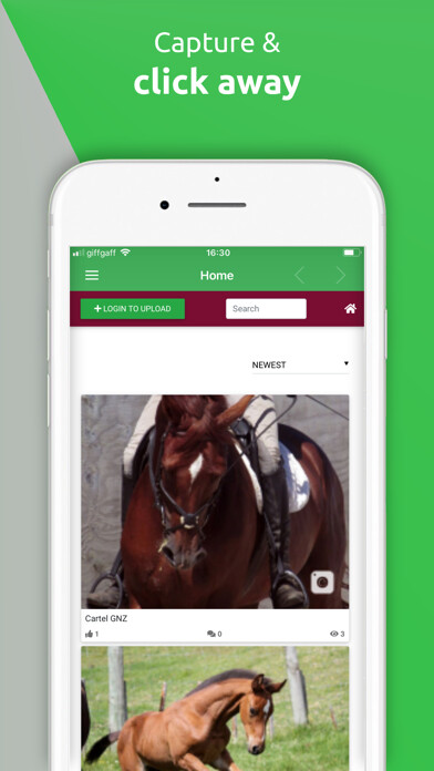 Run android online APK hoofpick click from MyAndroid or emulate hoofpick click using MyAndroid Run android online APK hoofpick click from MyAndroid or emulate hoofpick click using MyAndroid