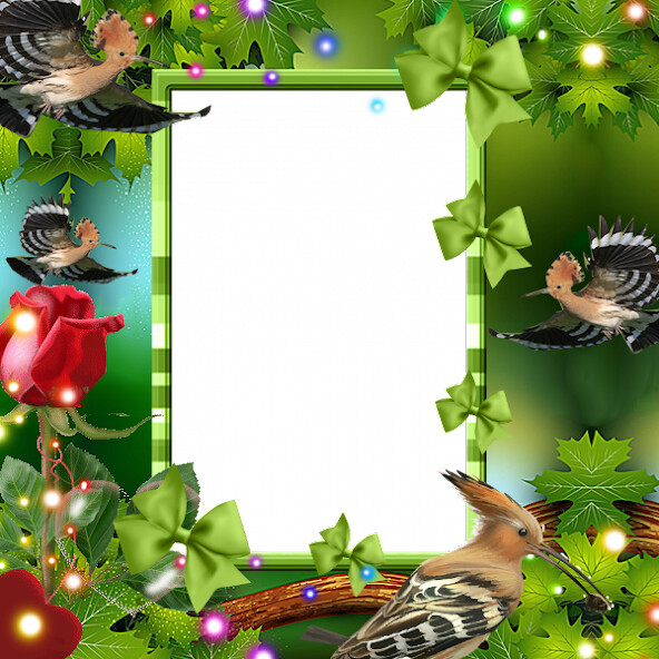 Run android online APK Hoopoe Insta DP from MyAndroid or emulate Hoopoe Insta DP using MyAndroid Run android online APK Hoopoe Insta DP from MyAndroid or emulate Hoopoe Insta DP using MyAndroid