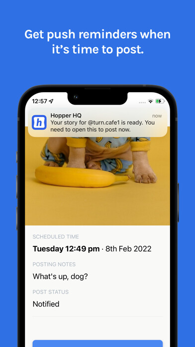 Emulate iPhone app Hopper HQ Mobile Companion using MyAndroid