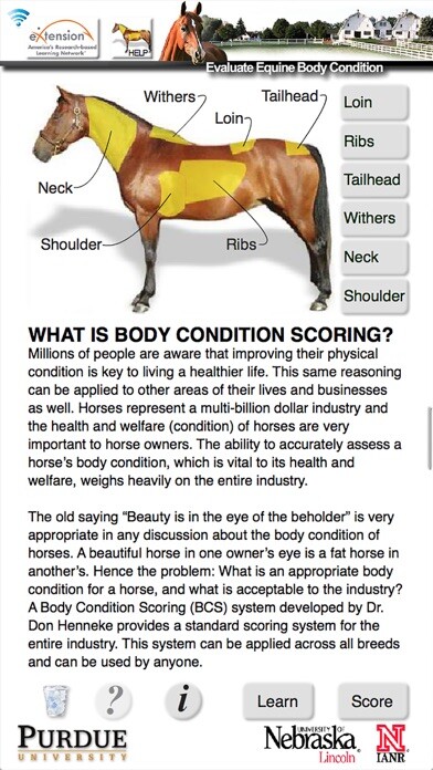 Emulate iPhone app HorseBCS using MyAndroid