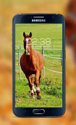 Emulate Android APK Horse password Lock Screen Emulate Android APK Horse password Lock Screen