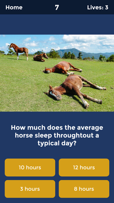 Emulate iPhone app Horse Quiz by HayGrazer using MyAndroid Emulate iPhone app Horse Quiz by HayGrazer using MyAndroid