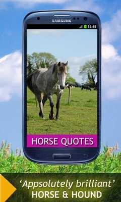 Emulate Android APK Horse Quotes And Sayings