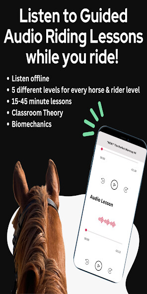 Run android online APK Horse Riding Lessons from MyAndroid or emulate Horse Riding Lessons using MyAndroid Run android online APK Horse Riding Lessons from MyAndroid or emulate Horse Riding Lessons using MyAndroid