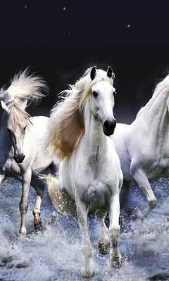 Emulate Android APK Horses Free HD live wallpaper Emulate Android APK Horses Free HD live wallpaper