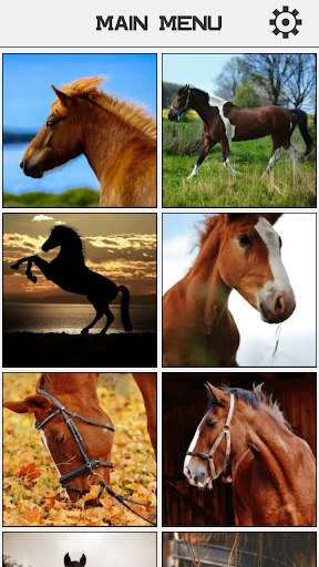 Run android online APK Horse Slide Puzzle from MyAndroid or emulate Horse Slide Puzzle using MyAndroid
