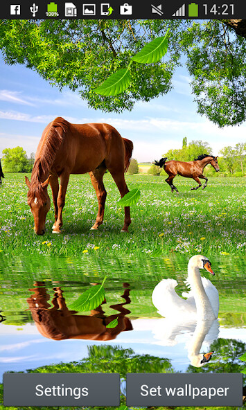 Run android online APK Horses Live Wallpapers from MyAndroid or emulate Horses Live Wallpapers using MyAndroid