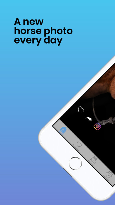 Emulate iPhone app Horses Photos using MyAndroid Emulate iPhone app Horses Photos using MyAndroid
