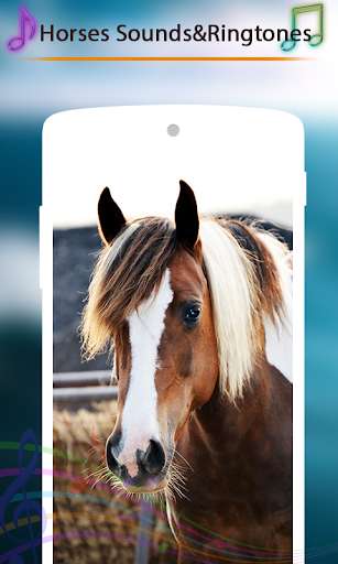 Run android online APK Horses Sounds and Ringtones from MyAndroid or emulate Horses Sounds and Ringtones using MyAndroid Run android online APK Horses Sounds and Ringtones from MyAndroid or emulate Horses Sounds and Ringtones using MyAndroid