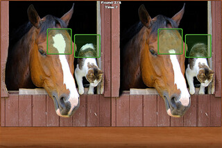 Emulate iPhone app Horses Spot the Difference using MyAndroid