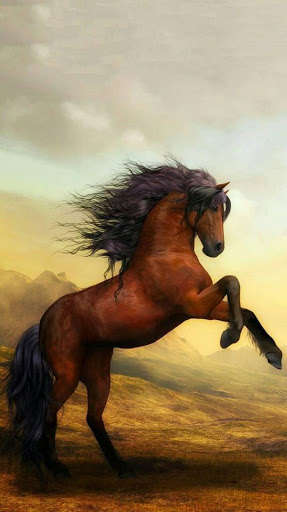 Run android online APK horses wallpaper HD from MyAndroid or emulate horses wallpaper HD using MyAndroid