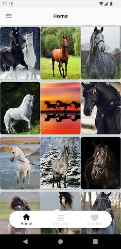 Run android online APK Horses Wallpapers HD Offline from MyAndroid or emulate Horses Wallpapers HD Offline using MyAndroid Run android online APK Horses Wallpapers HD Offline from MyAndroid or emulate Horses Wallpapers HD Offline using MyAndroid