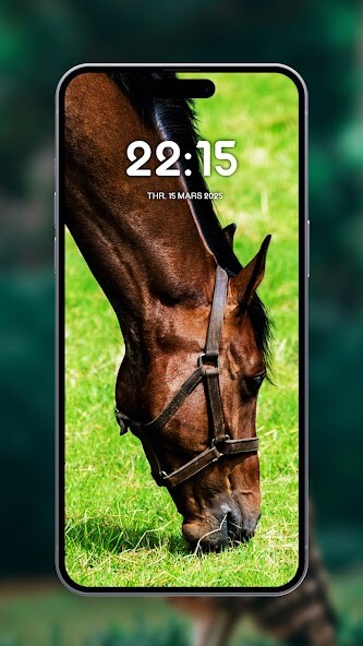 Run android online APK Horses Wild wallpapers from MyAndroid or emulate Horses Wild wallpapers using MyAndroid Run android online APK Horses Wild wallpapers from MyAndroid or emulate Horses Wild wallpapers using MyAndroid