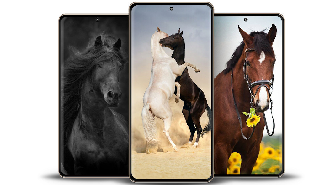 Run android online APK Horse Wallpapers 4K from MyAndroid or emulate Horse Wallpapers 4K using MyAndroid Run android online APK Horse Wallpapers 4K from MyAndroid or emulate Horse Wallpapers 4K using MyAndroid