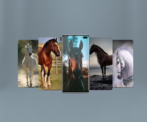 Run android online APK horse Wallpapers & Backgrounds for horse 4K HD from MyAndroid or emulate horse Wallpapers & Backgrounds for horse 4K HD using MyAndroid