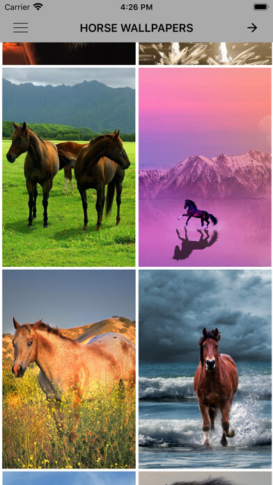 Emulate iPhone app Horse Wallpapers & Backgrounds using MyAndroid Emulate iPhone app Horse Wallpapers & Backgrounds using MyAndroid