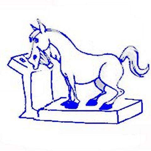 Run android online APK Horse Weight Calculator from MyAndroid or emulate Horse Weight Calculator using MyAndroid