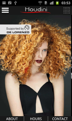 Emulate Android APK Houdini Hair Emulate Android APK Houdini Hair