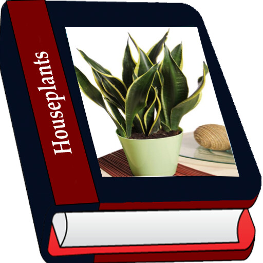 Emulate Android APK Houseplant Emulate Android APK Houseplant