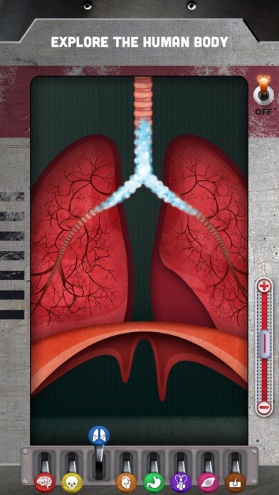Run android online APK How does The Human Body Work? from MyAndroid or emulate How does The Human Body Work? using MyAndroid Run android online APK How does The Human Body Work? from MyAndroid or emulate How does The Human Body Work? using MyAndroid
