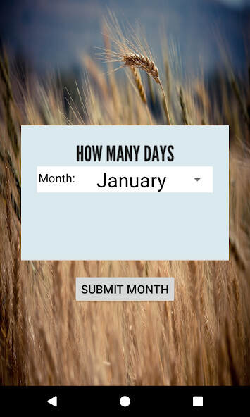 Emulate Android APK How many days? Emulate Android APK How many days?
