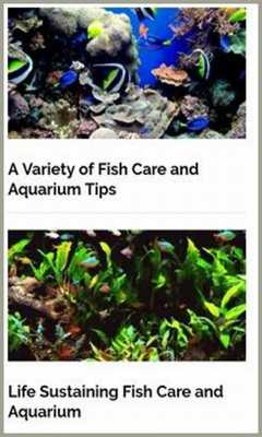 Emulate Android APK How To Care For Aquariums And Fish