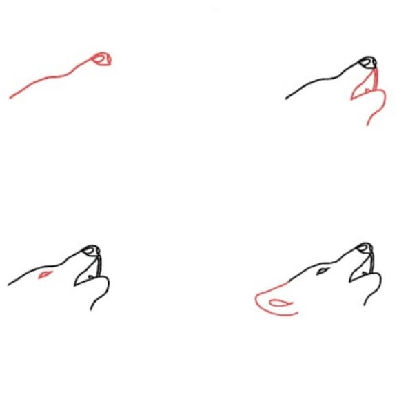 Emulate Android APK How to draw a Wolf Emulate Android APK How to draw a Wolf
