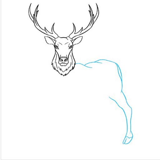Run android online APK How To Draw Deer from MyAndroid or emulate How To Draw Deer using MyAndroid Run android online APK How To Draw Deer from MyAndroid or emulate How To Draw Deer using MyAndroid