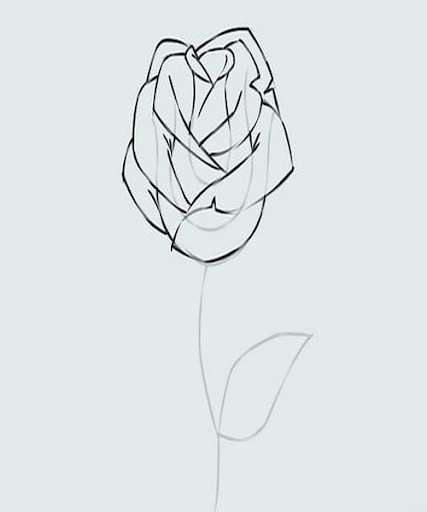 Run android online APK How To Draw Flowers Step by Step from MyAndroid or emulate How To Draw Flowers Step by Step using MyAndroid Run android online APK How To Draw Flowers Step by Step from MyAndroid or emulate How To Draw Flowers Step by Step using MyAndroid