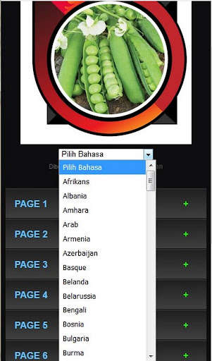 Run android online APK How to Grow Green Beans Good from MyAndroid or emulate How to Grow Green Beans Good using MyAndroid Run android online APK How to Grow Green Beans Good from MyAndroid or emulate How to Grow Green Beans Good using MyAndroid