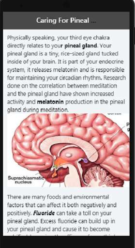 Run android online APK how to open the third eye from MyAndroid or emulate how to open the third eye using MyAndroid Run android online APK how to open the third eye from MyAndroid or emulate how to open the third eye using MyAndroid