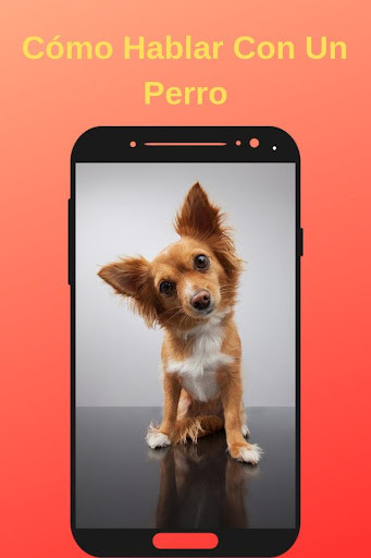 Run android online APK How to Talk to a Dog from MyAndroid or emulate How to Talk to a Dog using MyAndroid Run android online APK How to Talk to a Dog from MyAndroid or emulate How to Talk to a Dog using MyAndroid