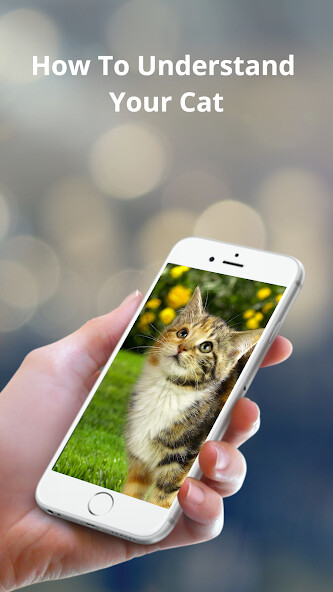 Run android online APK How To Understand Your Cat from MyAndroid or emulate How To Understand Your Cat using MyAndroid