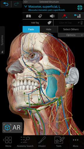 Run android online APK Human Anatomy Atlas 2021: Complete 3D Human Body from MyAndroid or emulate Human Anatomy Atlas 2021: Complete 3D Human Body using MyAndroid Run android online APK Human Anatomy Atlas 2021: Complete 3D Human Body from MyAndroid or emulate Human Anatomy Atlas 2021: Complete 3D Human Body using MyAndroid