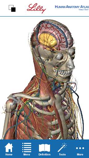 Emulate Android APK Human Anatomy Atlas for Lilly Emulate Android APK Human Anatomy Atlas for Lilly