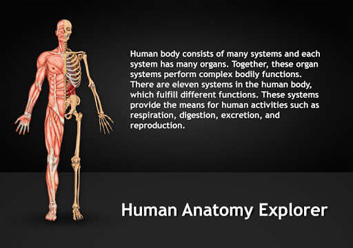 Emulate iPhone app Human Anatomy Explorer using MyAndroid Emulate iPhone app Human Anatomy Explorer using MyAndroid