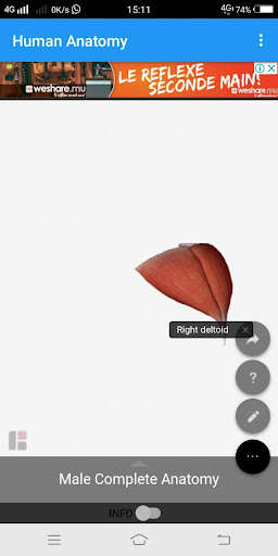 Run android online APK HUMAN ANATOMY FULL FREE - MEDITUTOR from MyAndroid or emulate HUMAN ANATOMY FULL FREE - MEDITUTOR using MyAndroid Run android online APK HUMAN ANATOMY FULL FREE - MEDITUTOR from MyAndroid or emulate HUMAN ANATOMY FULL FREE - MEDITUTOR using MyAndroid