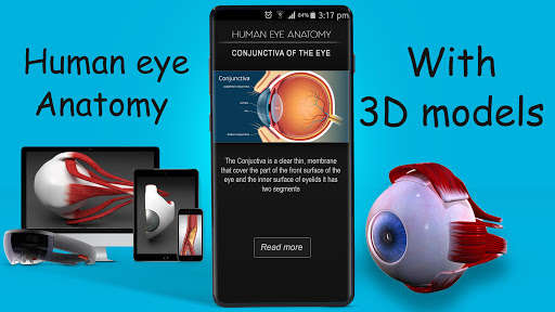 Run android online APK Human eye anatomy 3D from MyAndroid or emulate Human eye anatomy 3D using MyAndroid Run android online APK Human eye anatomy 3D from MyAndroid or emulate Human eye anatomy 3D using MyAndroid