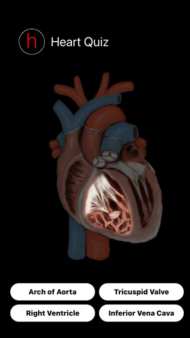 Emulate iPhone app Human Heart Anatomy Quiz using MyAndroid Emulate iPhone app Human Heart Anatomy Quiz using MyAndroid
