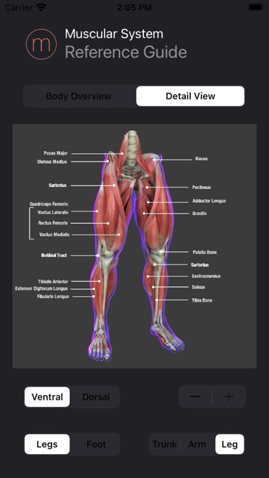 Emulate iPhone app Human Muscular System Guide using MyAndroid Emulate iPhone app Human Muscular System Guide using MyAndroid