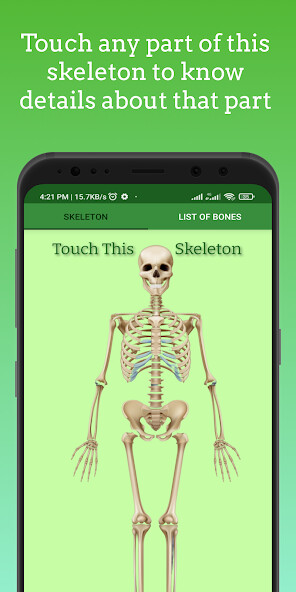 Run android online APK Human Skeleton 3D ( Anatomy ) from MyAndroid or emulate Human Skeleton 3D ( Anatomy ) using MyAndroid Run android online APK Human Skeleton 3D ( Anatomy ) from MyAndroid or emulate Human Skeleton 3D ( Anatomy ) using MyAndroid