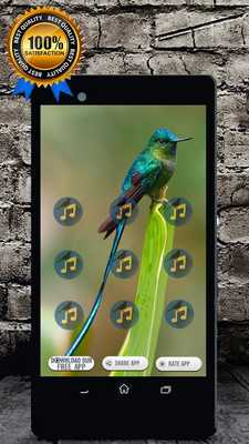 Emulate Android APK Hummingbird Call and Hummingbird Sounds
