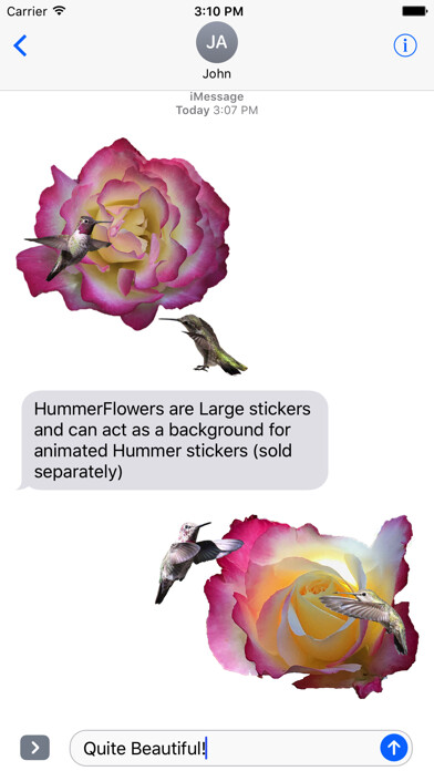 Emulate iPhone app Hummingbird Flowers using MyAndroid Emulate iPhone app Hummingbird Flowers using MyAndroid
