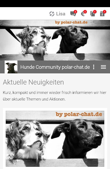 Run android online APK Hunde Community polar-chat.de from MyAndroid or emulate Hunde Community polar-chat.de using MyAndroid